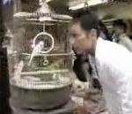 vidéo cyril magic tour de magie illusion chinatown orange oiseau citron oeuf