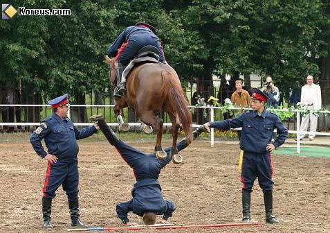 photo saut obstacle cheval hippique homme sport humour insolite