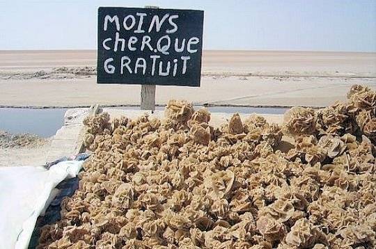 photo moins cher que gratuit pancarte maroc humour insolite