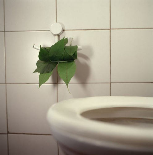 photo papier toilette feuille humour insolite
