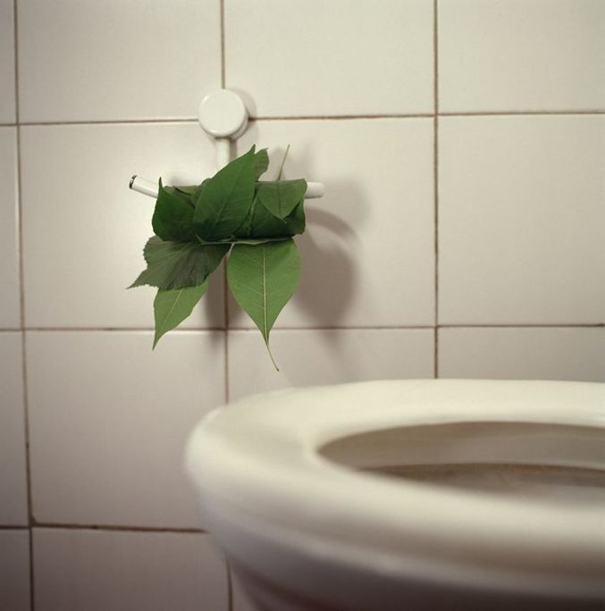 Le papier toilette, gros consommateur de forêts