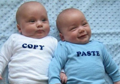 photo bébé jumeaux copier coller humour insolite